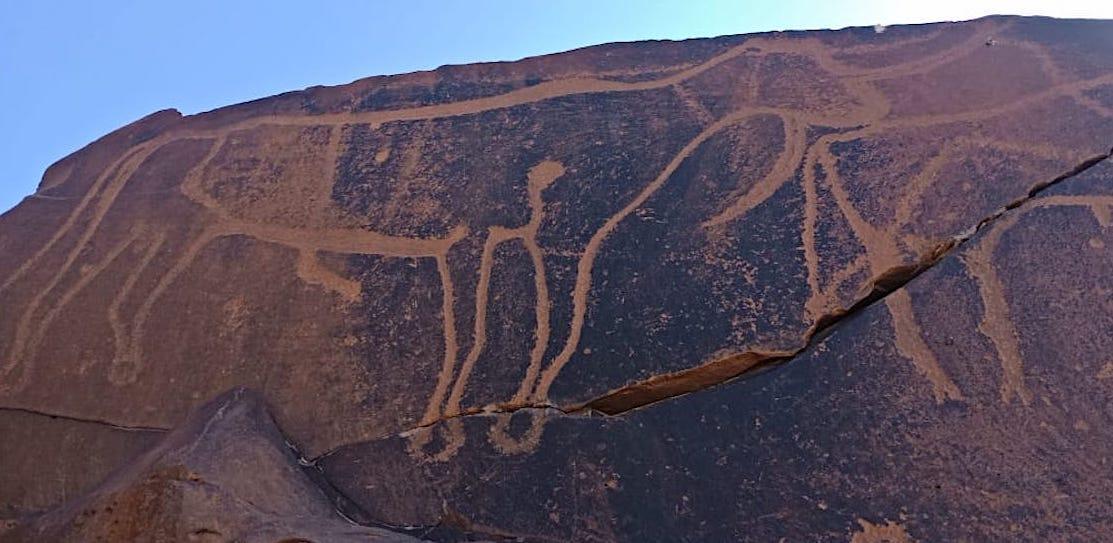 rock engravings southern morocco