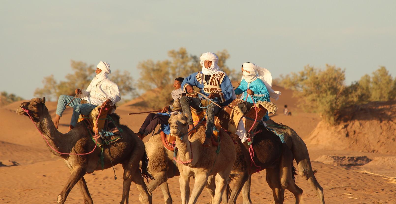 mhamid riding camels