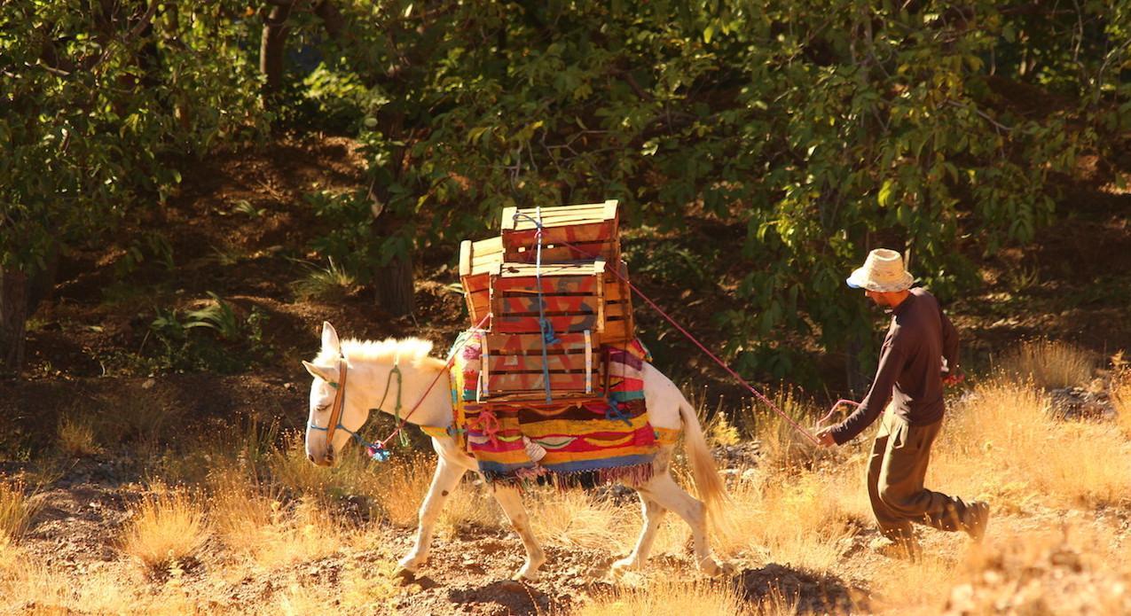 High Atlas scene