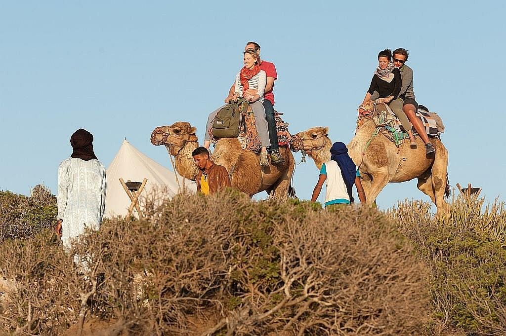 adounia camp camels