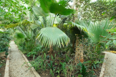 dar-al-hossoun-gardens-day-time
