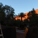 DPP_290917