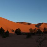 DPP_290918