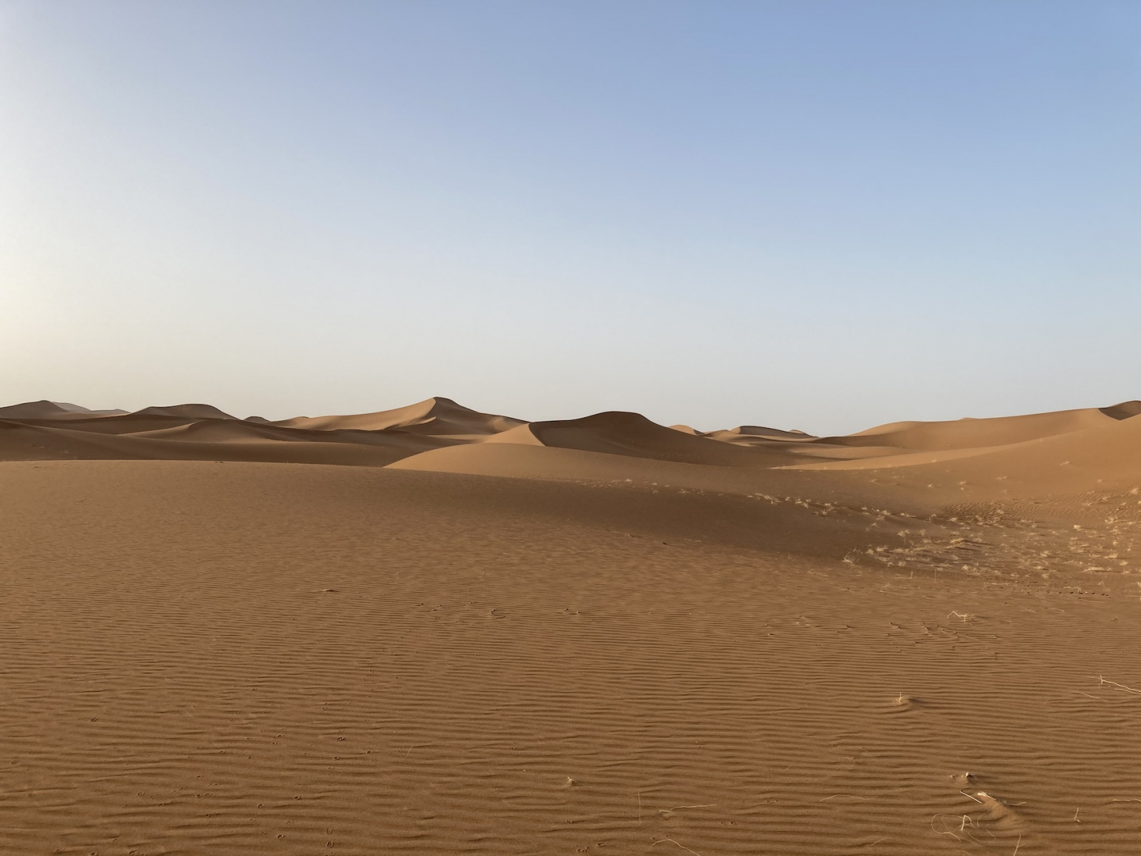 Dreamers 2 Erg Chigaga basic camp