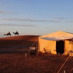 erg chigaga camp at sunset with camel ride