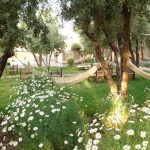 Garden HamacS