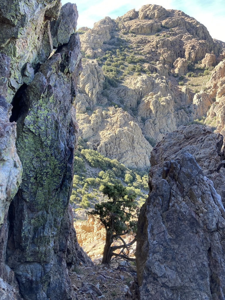Trekking