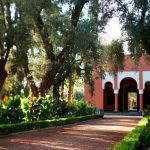 la mamounia gardens 2