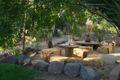 image00088-copy
