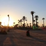 Marrakech Palm grove4