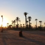 Marrakech Palm grove5