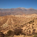 IMG_7586