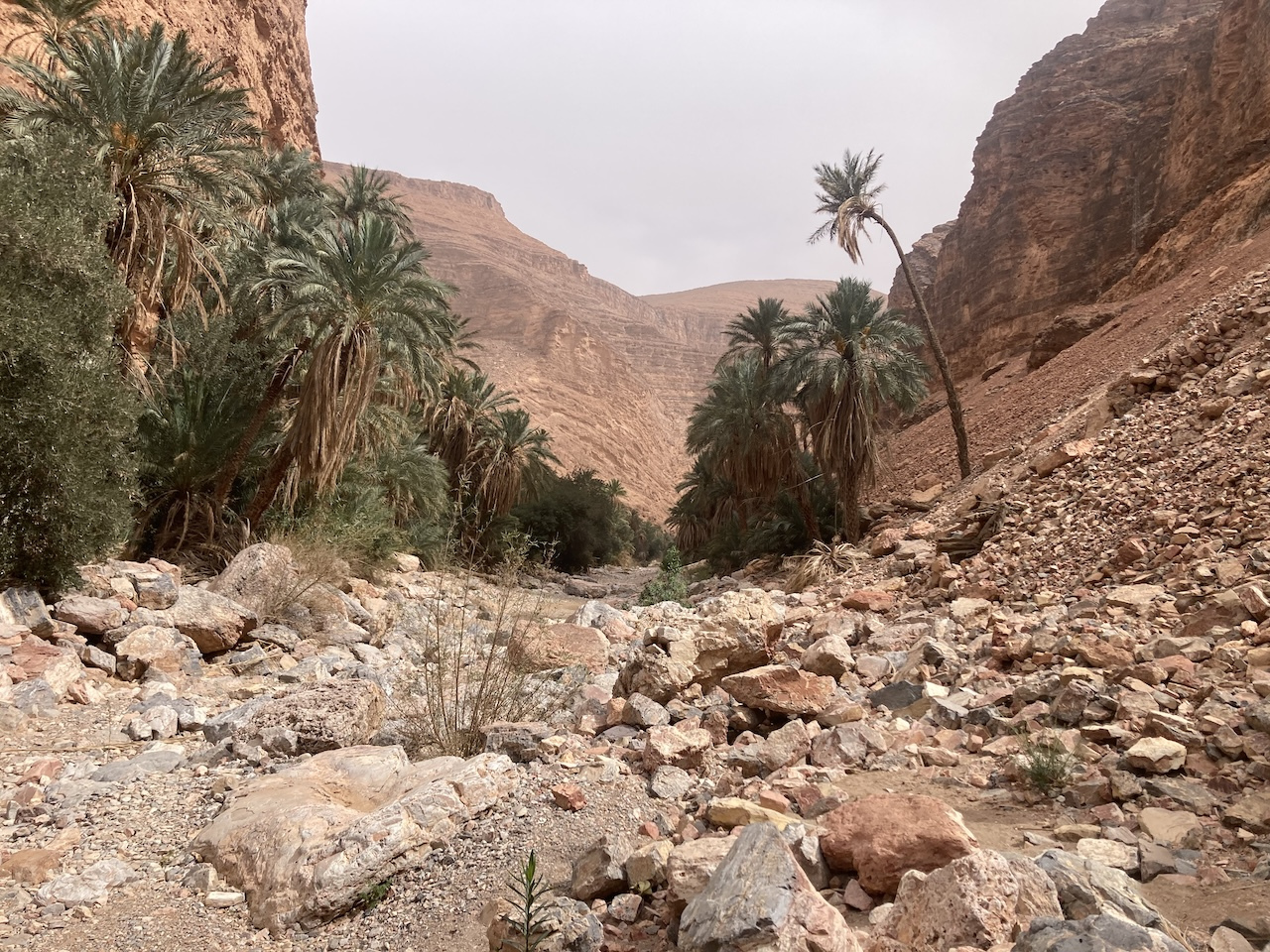 morocco sahara desert tour