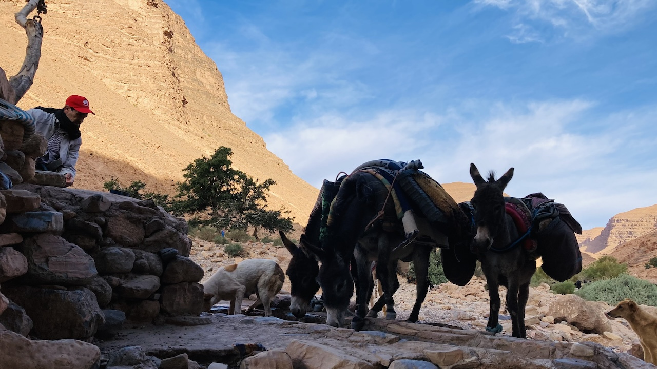 Trekking 4 Oued Tamanart, Anti Atlas mountains