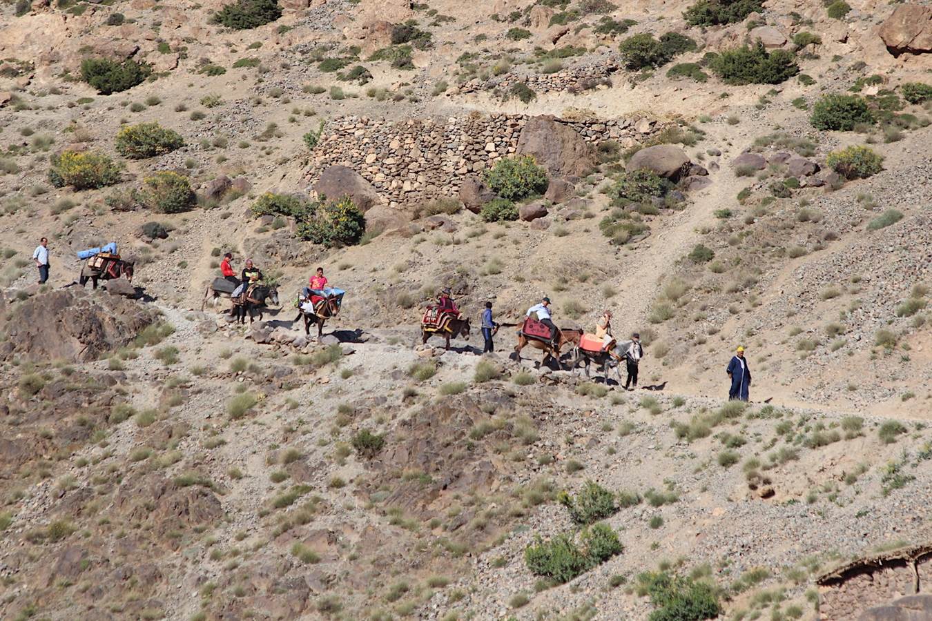 Plateau Taghazart 4000 metres