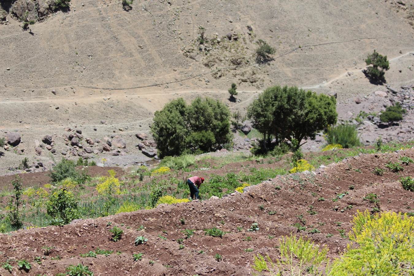 Trekking 9 Plateau Taghazart 4000 metres