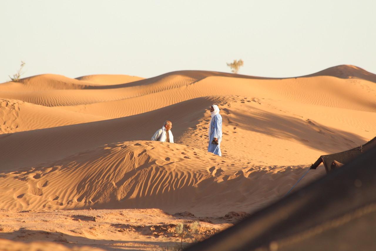 Taragalt Festival : A great Little music festival on the edge of the Sahara.
