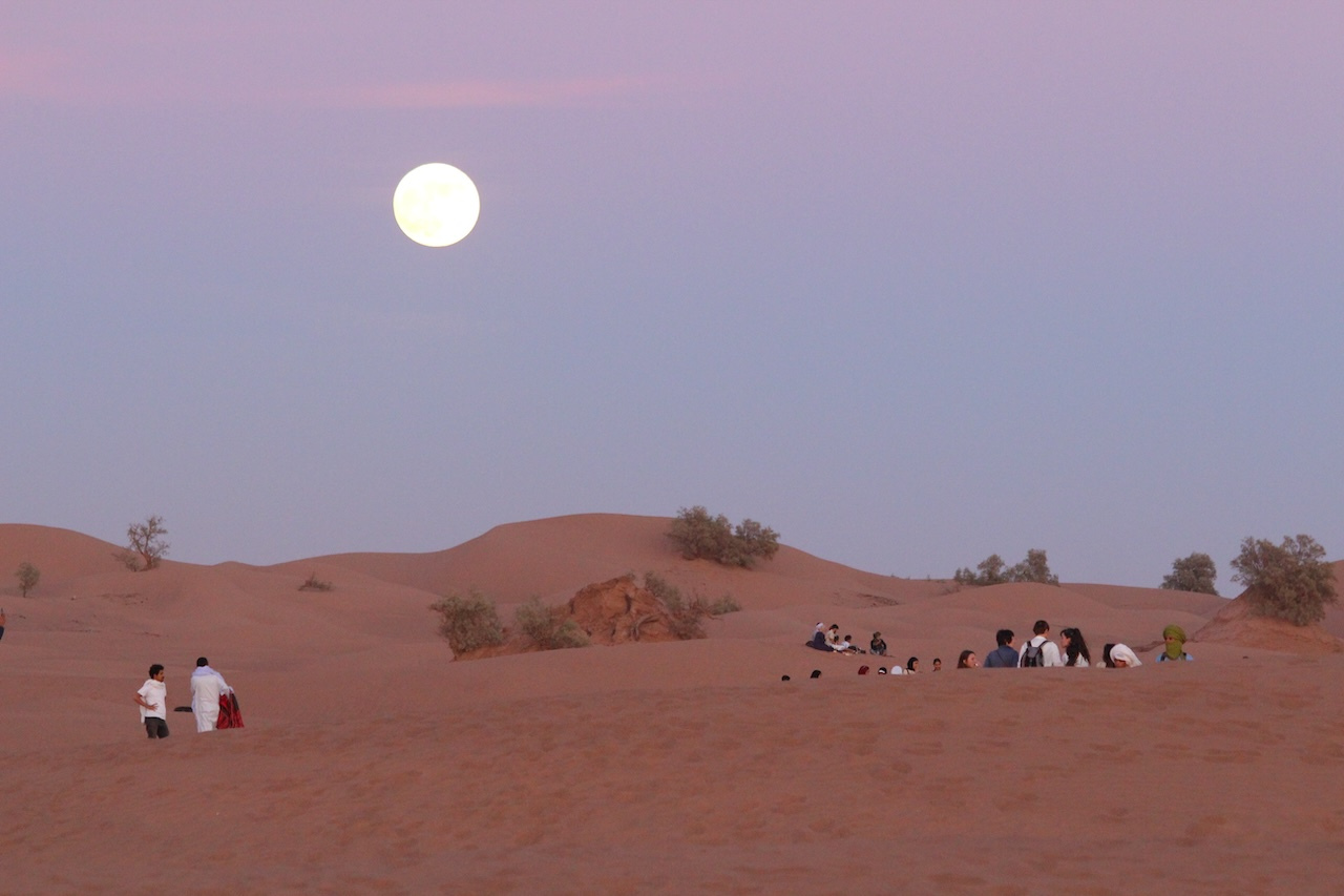 Taragalt Festival : A great Little music festival on the edge of the Sahara.