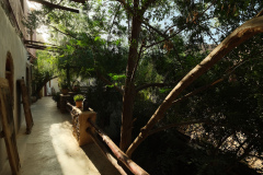tigmi-bulbul-terrace