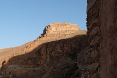 tigmi-bulbul-with-view-to-the-granary