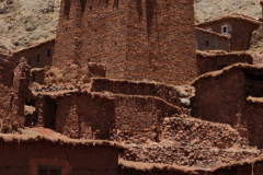 image00029-copy