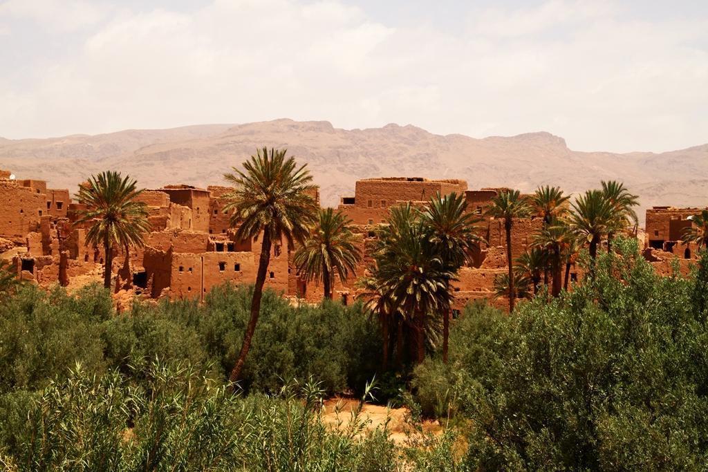 berber adobe village and palmgrove