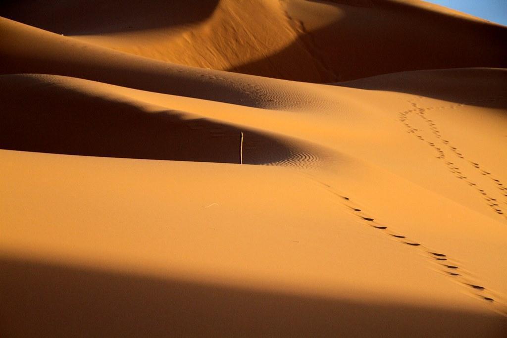 sahara desert dunes at erg chebbi