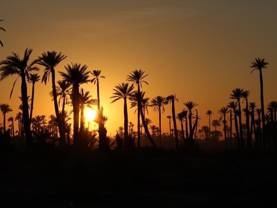 Marrakech, Atlas and the coast (5- 7 days) 35 ea82697ed9755e975f3c7d735db2070c