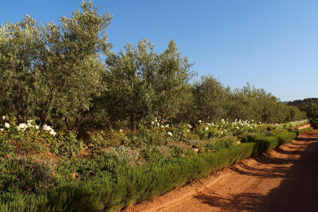 domaine de malika orchard