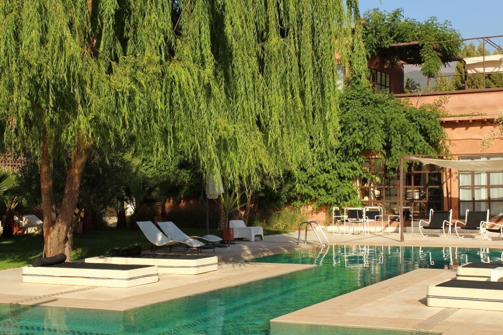 pool and sun beds at domaine de malika