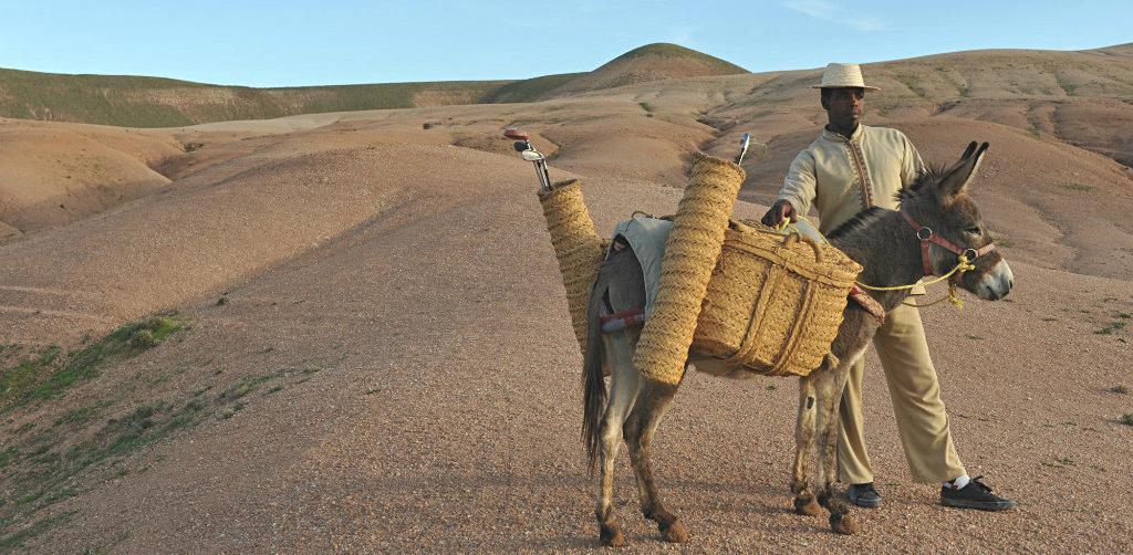 la pause marrakech landscape