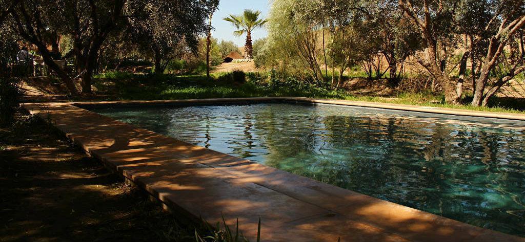 la pause marrakech pool