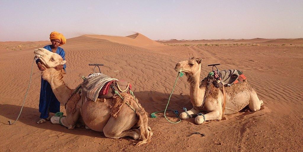 camel ride into the dunes