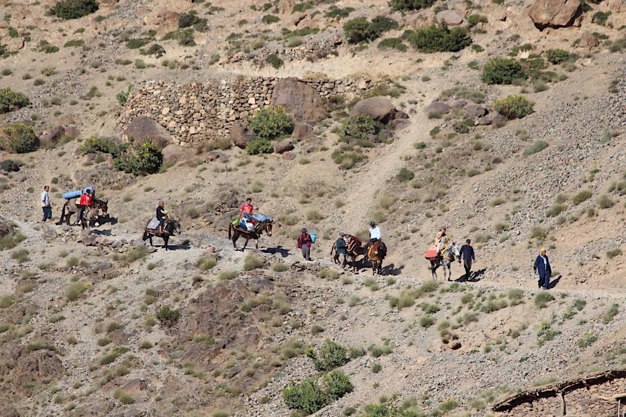 high atlas wedding procession