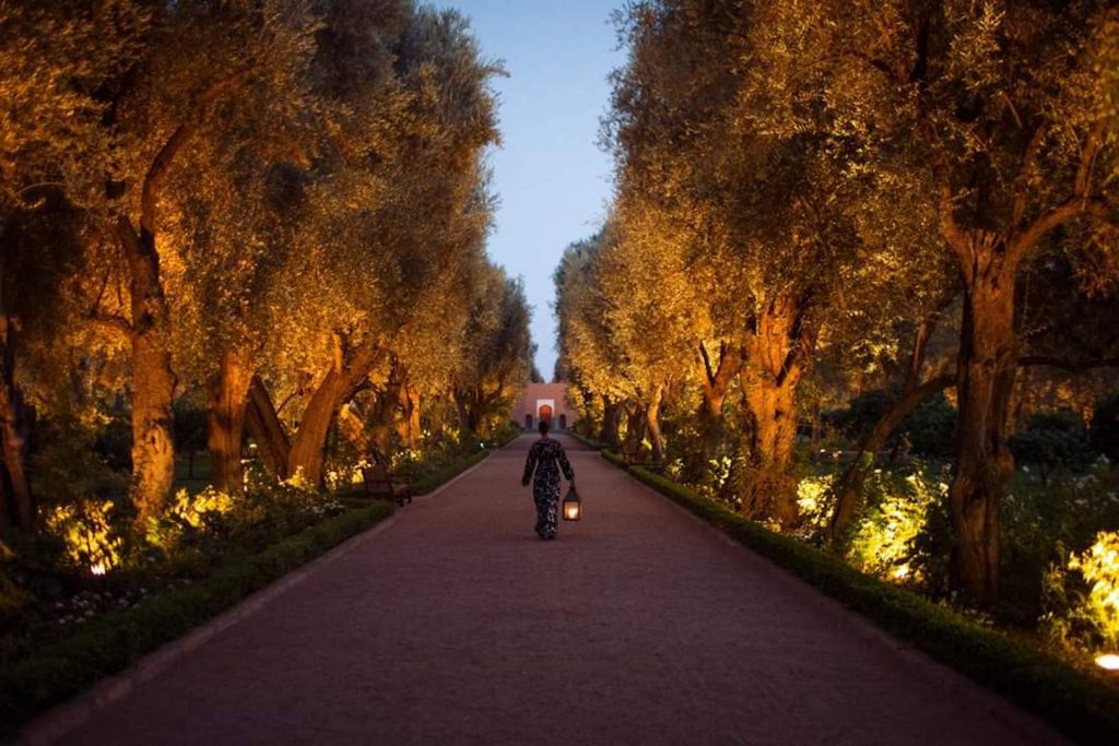 Visit La mamounia in 2024 5 The gardens at La Mamounia