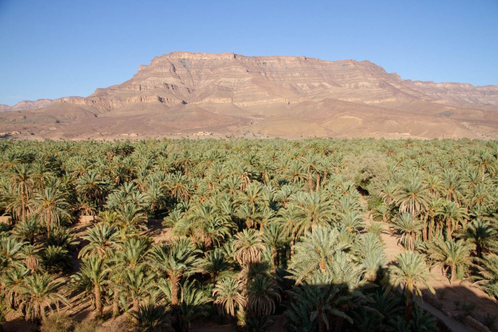 Kasbah & Dar Hnini - Eden on the way to Erg Chigaga 10 Draa Valley palmgrove