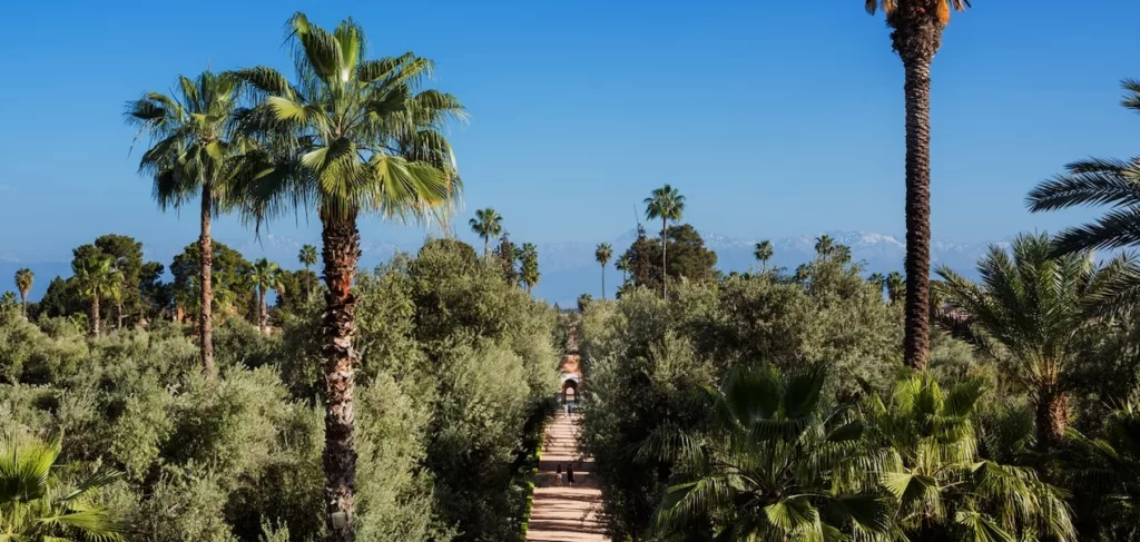 Mamounia gardens and High Atlas