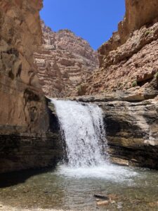 Homepage 70 image00005