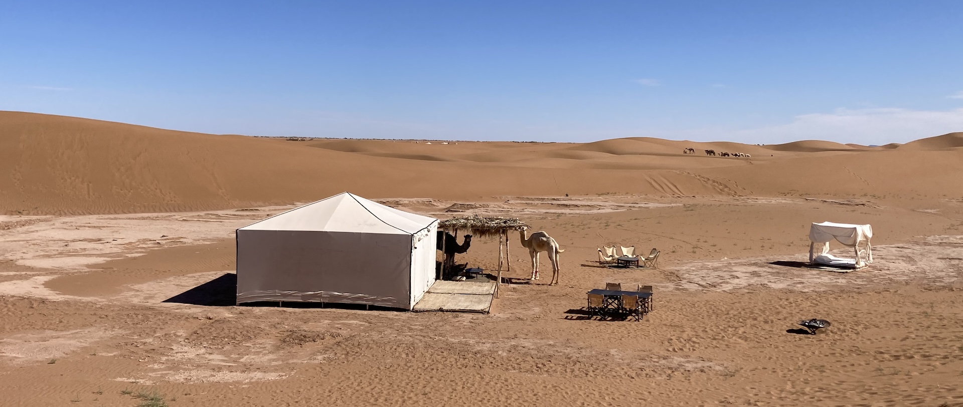 Azalai Camp, Erg Chigaga 1 luxury desert camp in erg chigaga dunes november 2024