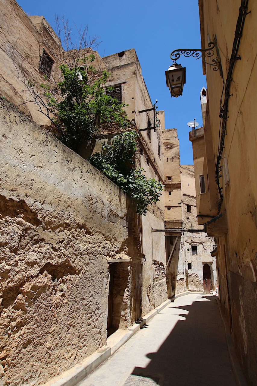 Fes medina street and residences