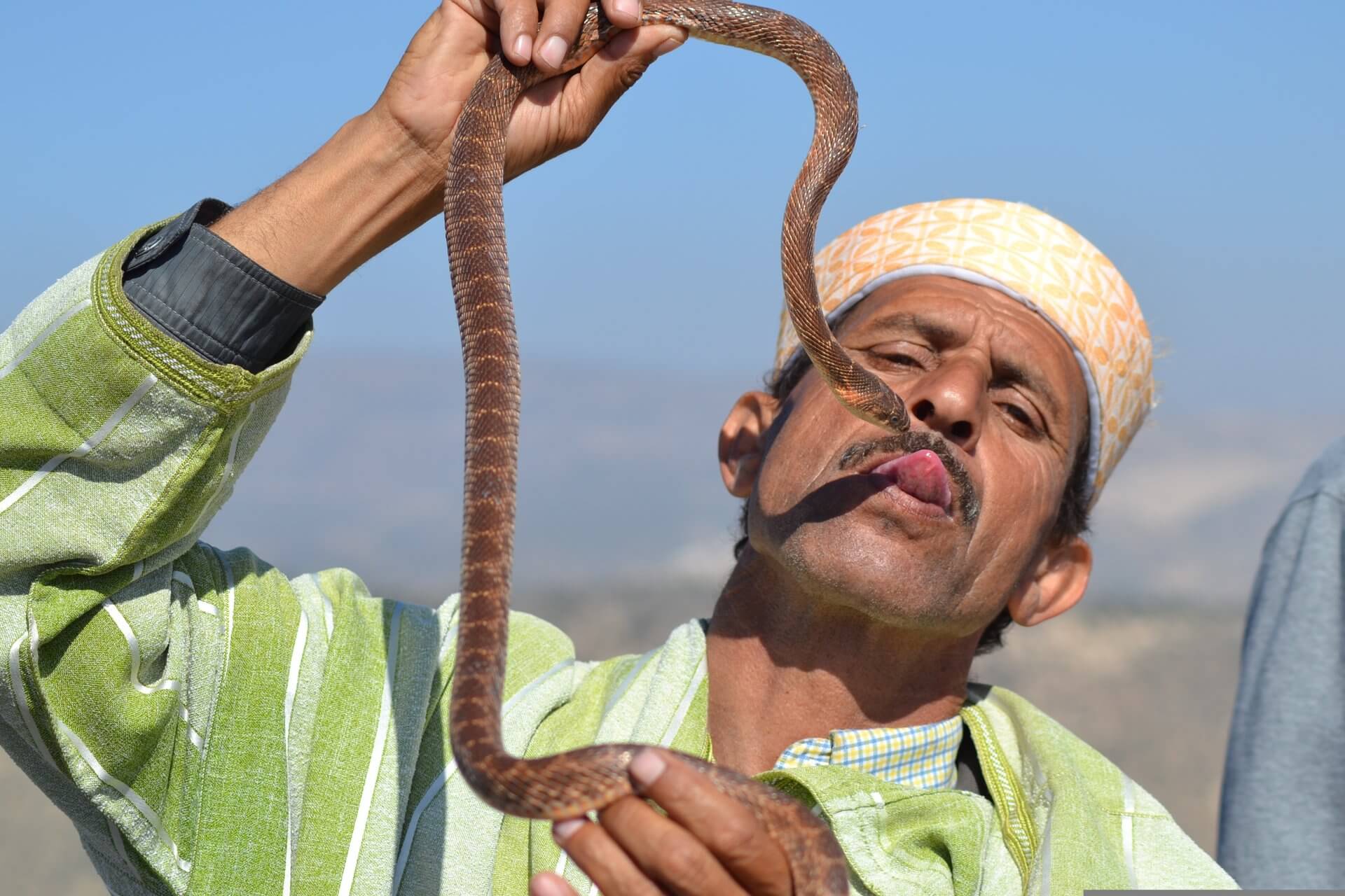Best Time to Visit Morocco: A Seasonal Guide for the Discerning Traveler 9 Snake charmer in traditional djellaba holding a snake in Morocco, a cultural experience best enjoyed during the cooler months