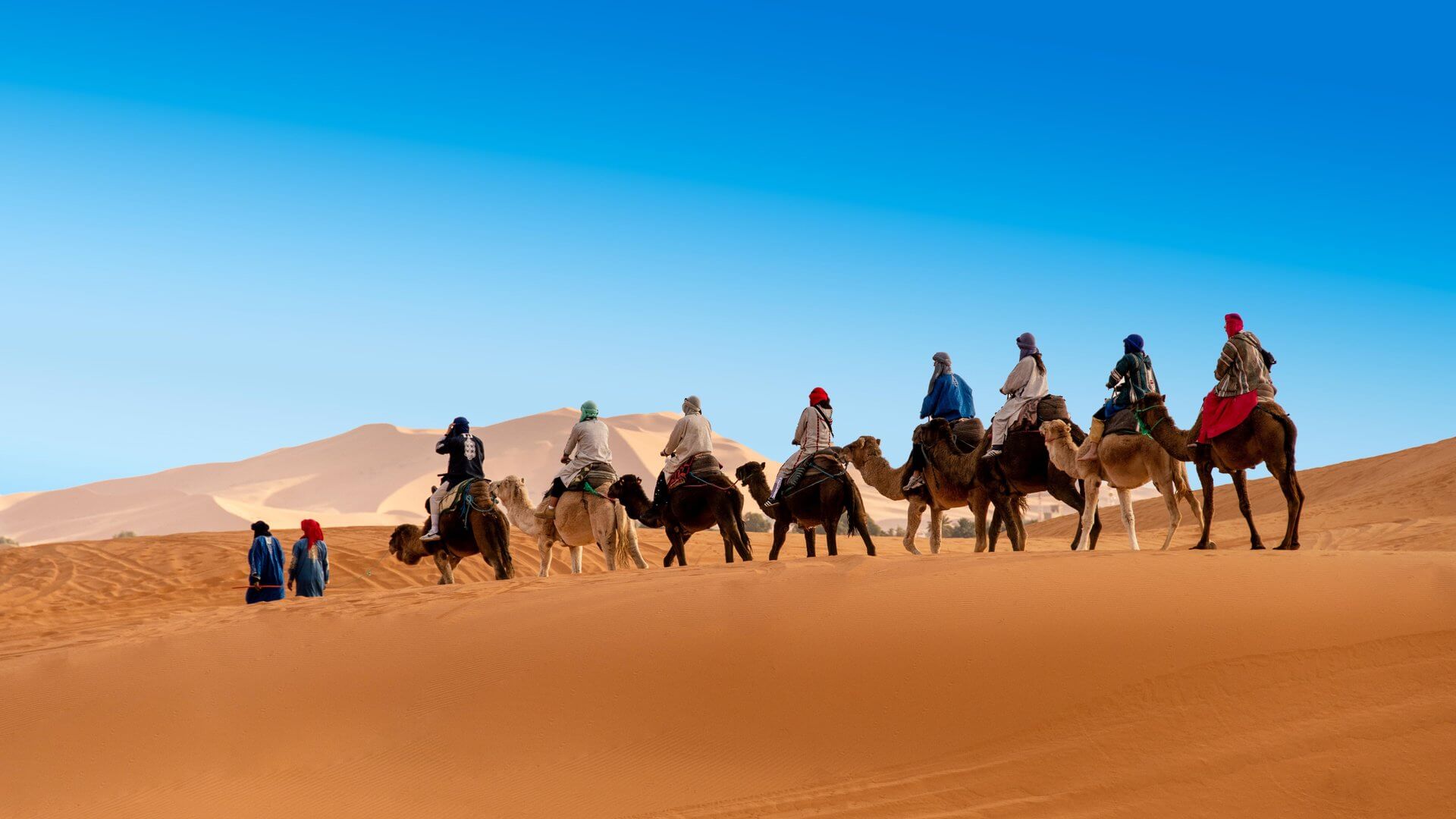 Best Time to Visit Morocco: A Seasonal Guide for the Discerning Traveler 10 Group of travelers on a camel caravan crossing the Erg Chebbi sand dunes under a clear blue sky in Morocco