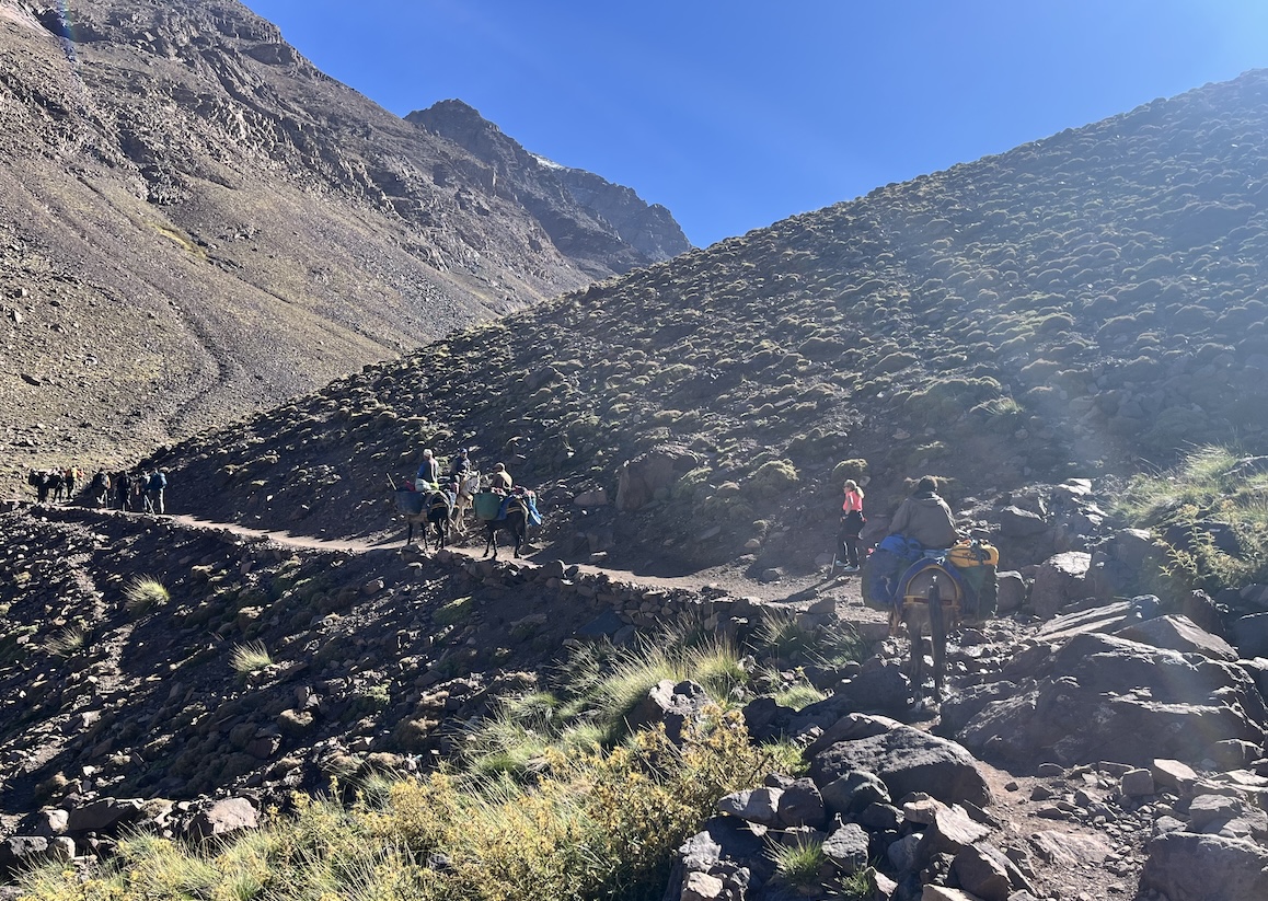 Climbing Toubkal - The wit and the chaff 16 image00011 copy